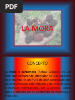 La Mora