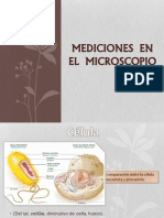 Mediciones en El Microscopio