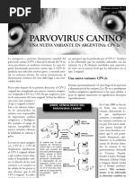 Parvovirus