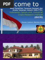 Indonesian Spice and Industrial Crops Research Institute, ISICRI, BALITTRI