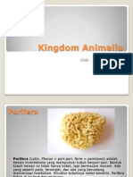 Power Point Porifera