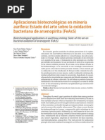 Aplicaciones Biotecnológicas en Minería Aurífera