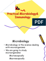 Microbiology Practical