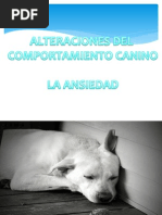 Ansiedad en El Perro PDF