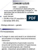 Ileus Meconium