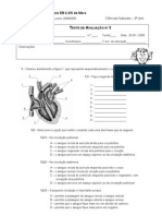 Teste Cardiovascular