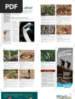 Snakes and Snakebite Go/Weg Magazine