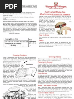 Cultivated White Cap Mushrooms: (A. Hortensis & A. Campestris)
