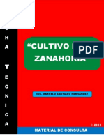 Ficha Técnica: Zanahoria 2013.