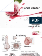 Penile Cancer