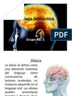 Afasia Semántica Presentación