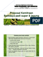 Proposal Kemitraan Jagung Padi