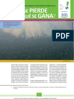 Quemas Agropecuarias e Incendios Forestales ¿Qué Se Pierde y Qué Se Gana?