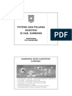 Potensi Investasi Sumbawa