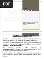 Sistema Excretor