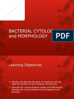 Bacterial Cytology and Morphology