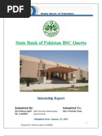 Internship Report On State Bank of Pakistan