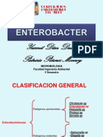 Enterobacter SP1