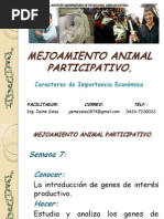 Mejoramiento Animal Participativo