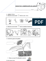 Prueba de Diagnostico Comprension Del Medio 2do.