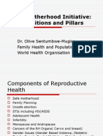 Definitions and Pillars For Safemother Hood