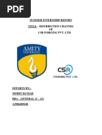 Distribution Channel of CSR Forging Pvt. Ltd.