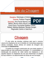 Tipos de Clivagem