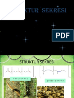 Struktur Sekresi