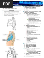 3 Surgery - Mediastinum and Pleura