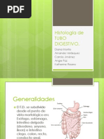 Histología de TUBO DIGESTIVO