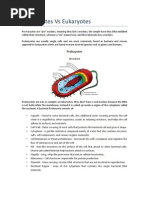 Prokaryotes Vs Eukaryotes