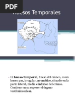 Huesos Temporales