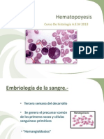 Sangre Y Hematopoyesis