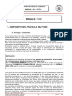 Fuego 1º Nivel PDF