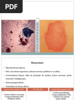 Hanseníase