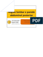 Região Lombar e Parede Abdominal Posterior