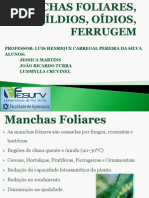 Manchas Foliares, Míldios, Oídios, Ferrugem