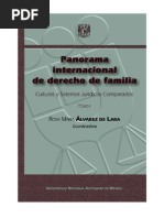 Panorama Internacional de Derecho de Familia - Tomo I