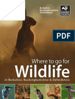 Where To Go For Wildlife