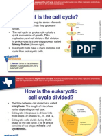 What Is The Cell Cycle?: Binary Fission (Shown Right)