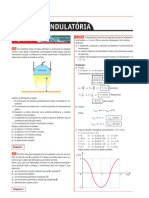 Ondulatória - Questões Resolvidas PDF