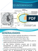 Nucleo Interfasico 1