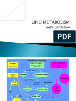 II. Beta Oksidasi English