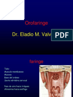 Orofaringe