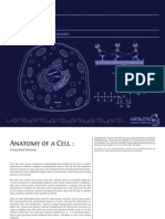 Cells - Molecules and Mechanisms