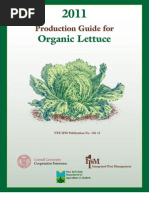 Organic Lettuce: Production Guide For