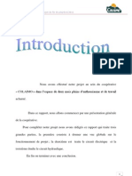 Rapport de Stage COLIMO PDF