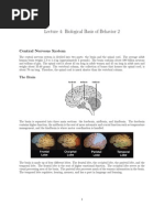 Lecture 4: Biological Basis of Behavior 2: Central Nervous System