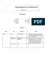 Puntos y Pares Biomagneticos y Bioenergeticos