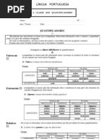 A CLASSE DOS QUANTIFICADORES - Ficha de Trabalho